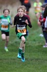 Orange 55, North East Harrier League, Sunderland